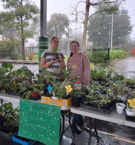 Parents selling at plant stall